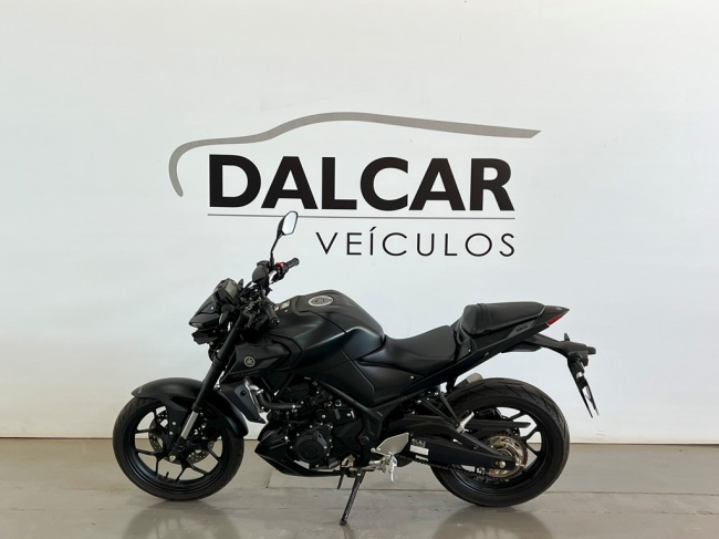 MT 03 ABS